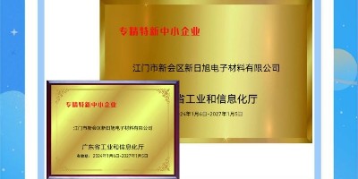 新日旭電子成功獲評(píng)廣東省2024年度專精特新中小企業(yè)